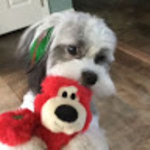 Meet your Posher, Madeline